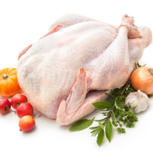 Turkeys & Geese